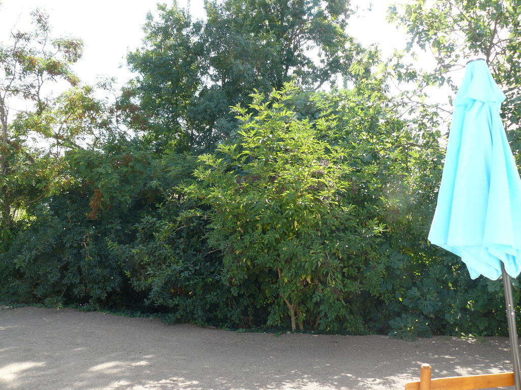 Les Plenitudes Du Rivage Villa Saint Vincent sur Jard Bagian luar foto